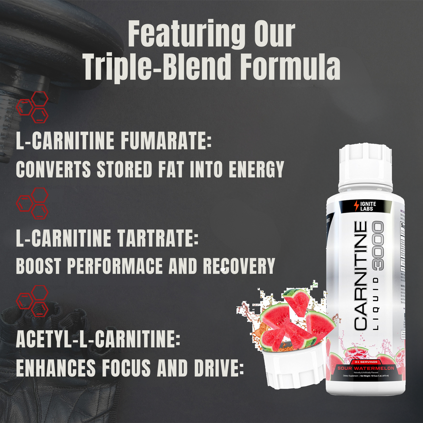 Liquid Carnitine by Ignite Labs™